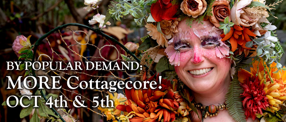 OpeningImageBox_MORECottageCore1_2025